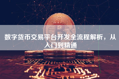 数字货币交易平台开发全流程解析，从入门到精通