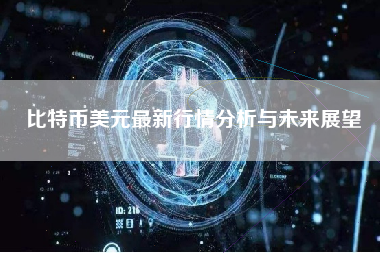 比特币美元最新行情分析与未来展望