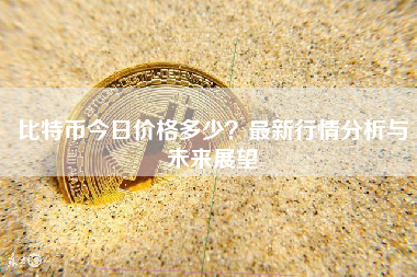 比特币今日价格多少？最新行情分析与未来展望