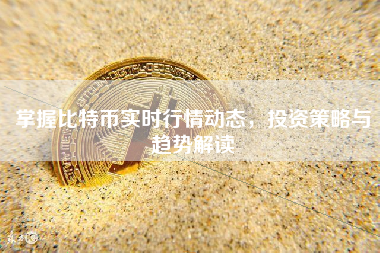 掌握比特币实时行情动态，投资策略与趋势解读