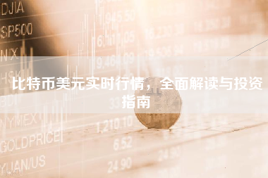 比特币美元实时行情，全面解读与投资指南
