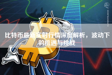 比特币最新实时行情深度解析，波动下的机遇与挑战