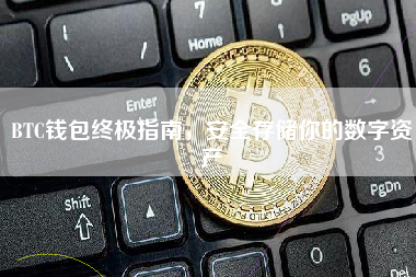 BTC钱包终极指南，安全存储你的数字资产