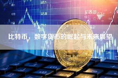 比特币，数字货币的崛起与未来展望