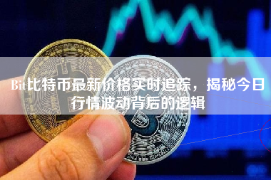 Bit比特币最新价格实时追踪，揭秘今日行情波动背后的逻辑
