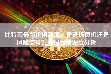 比特币最新价格动荡，是进场良机还是风险信号？今日行情深度分析