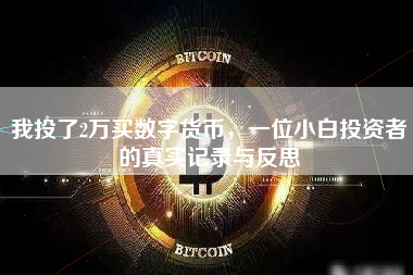我投了2万买数字货币，一位小白投资者的真实记录与反思