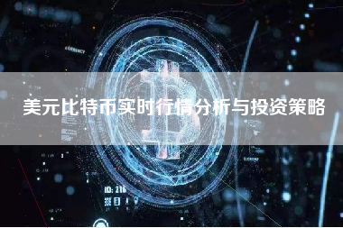 美元比特币实时行情分析与投资策略