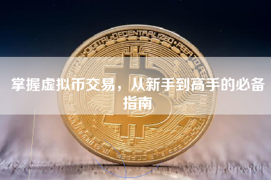 掌握虚拟币交易，从新手到高手的必备指南