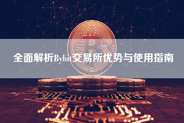 全面解析Bybit交易所优势与使用指南