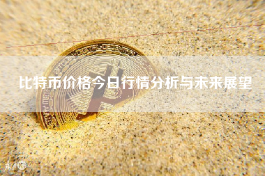 比特币价格今日行情分析与未来展望
