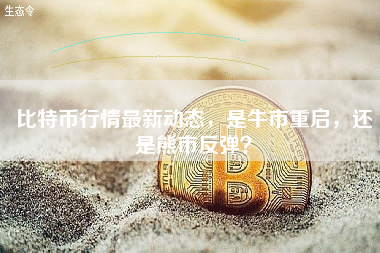 比特币行情最新动态，是牛市重启，还是熊市反弹？