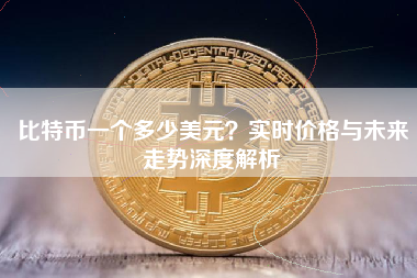 比特币一个多少美元？实时价格与未来走势深度解析