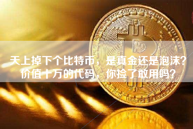 天上掉下个比特币，是真金还是泡沫？价值十万的代码，你捡了敢用吗？