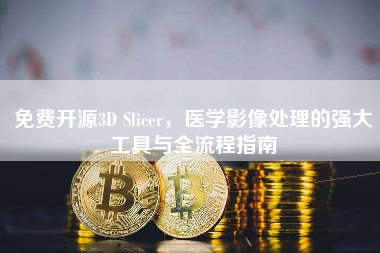 免费开源3D Slicer，医学影像处理的强大工具与全流程指南