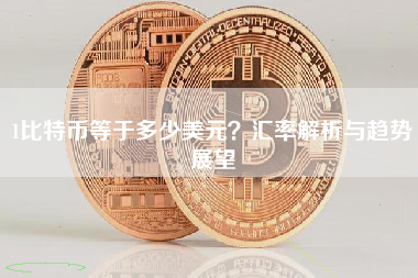 1比特币等于多少美元？汇率解析与趋势展望