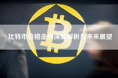 比特币价格走势深度解析与未来展望