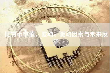比特币市值，波动、驱动因素与未来展望
