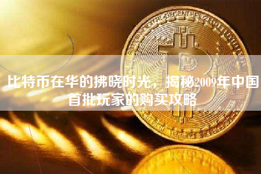 比特币在华的拂晓时光，揭秘2009年中国首批玩家的购买攻略