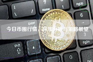 今日币圈行情，深度分析与策略展望