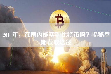 2011年，在国内能买到比特币吗？揭秘早期获取途径