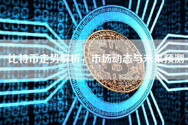比特币走势解析，市场动态与未来预测