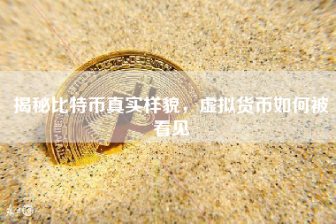 揭秘比特币真实样貌，虚拟货币如何被看见