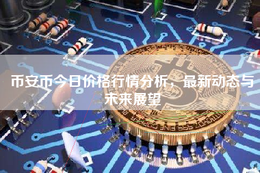币安币今日价格行情分析，最新动态与未来展望