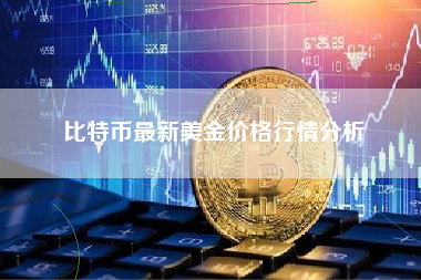 比特币最新美金价格行情分析 比特币最新美金价格行情分析