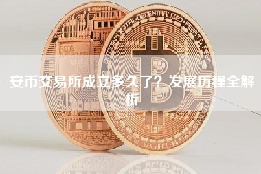 安币交易所成立多久了？发展历程全解析