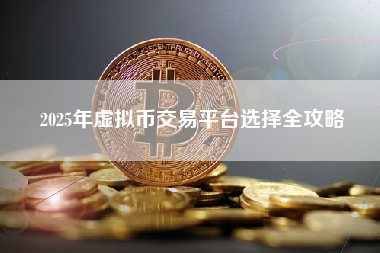2025年虚拟币交易平台选择全攻略