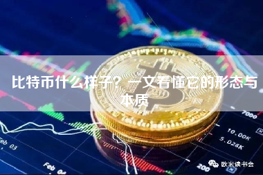 比特币什么样子?一文看懂它的形态与本质 比特币什么样子?一文看懂它的形态与本质