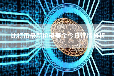 比特币最新价格美金今日行情分析