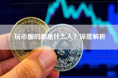 玩币圈的都是什么人？深度解析
