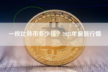 一枚比特币多少钱？2025年最新行情