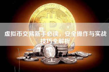 虚拟币交易新手必读,安全操作与实战技巧全解析 虚拟币交易新手必读,安全操作与实战技巧全解析