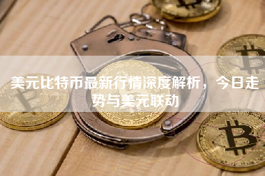美元比特币最新行情深度解析，今日走势与美元联动