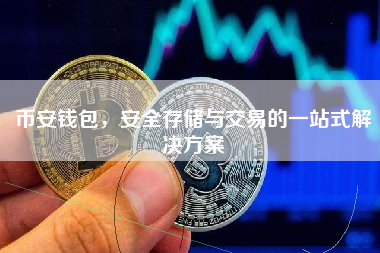 币安钱包,安全存储与交易的一站式解决方案 币安钱包,安全存储与交易的一站式解决方案