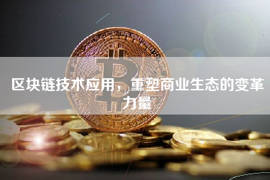 区块链技术应用，重塑商业生态的变革力量