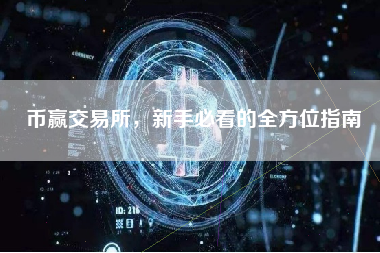 币赢交易所，新手必看的全方位指南