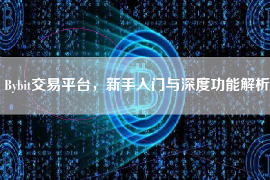 Bybit交易平台，新手入门与深度功能解析