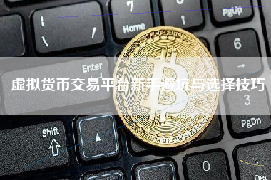虚拟货币交易平台新手避坑与选择技巧