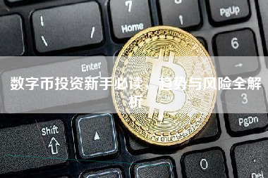 数字币投资新手必读，趋势与风险全解析
