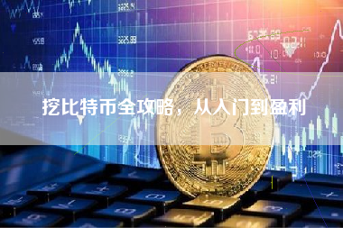 挖比特币全攻略,从入门到盈利 挖比特币全攻略,从入门到盈利
