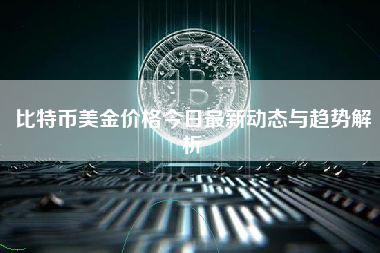 比特币美金价格今日最新动态与趋势解析