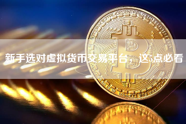 新手选对虚拟货币交易平台，这5点必看