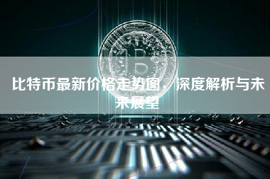 比特币最新价格走势图,深度解析与未来展望 比特币最新价格走势图,深度解析与未来展望