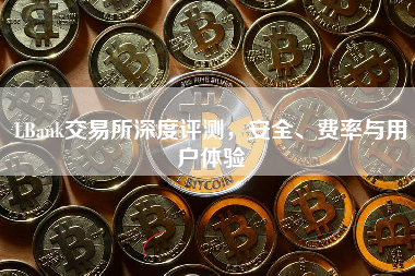 LBank交易所深度评测，安全、费率与用户体验
