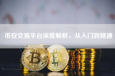 币安交易平台深度解析，从入门到精通