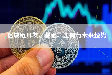 区块链开发,基础、工具与未来趋势 区块链开发,基础、工具与未来趋势